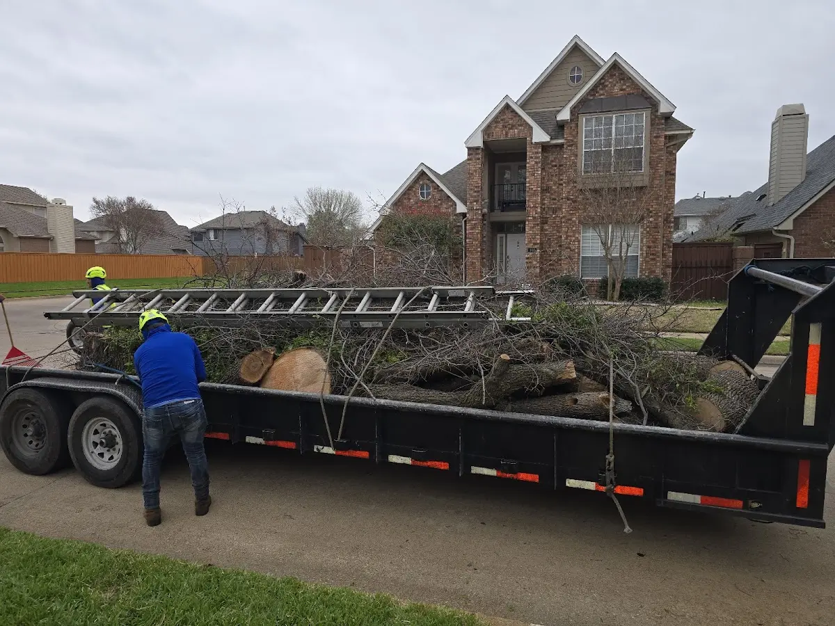 Expert Tree Fertilization with proper safety equipment in Loxahatchee